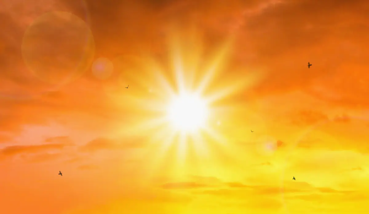 sun-may-2025